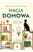 Magia domowa