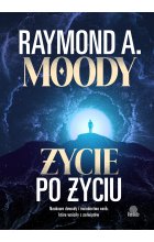 Życie po życiu