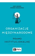 Organizacje międzynarodowe, Prawo instytucjonalne