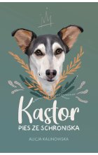 Kastor. PIES ZE SCHRONISKA / NB /