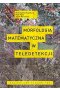 Morfologia matematyczna w teledetekcji