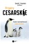 Pingwiny cesarskie